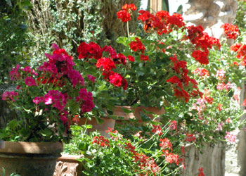 Italian Courtyard